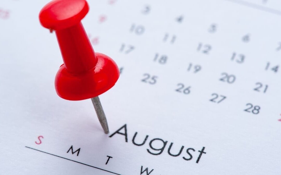 notificaciónes en agosto
