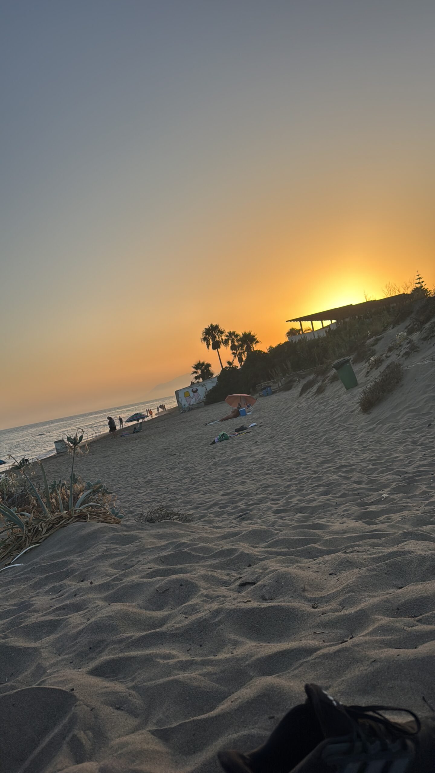 Reforma de la ley de costas