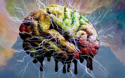 El Derecho esquizofrénico