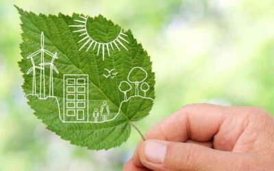 Contratos públicos y sostenibilidad