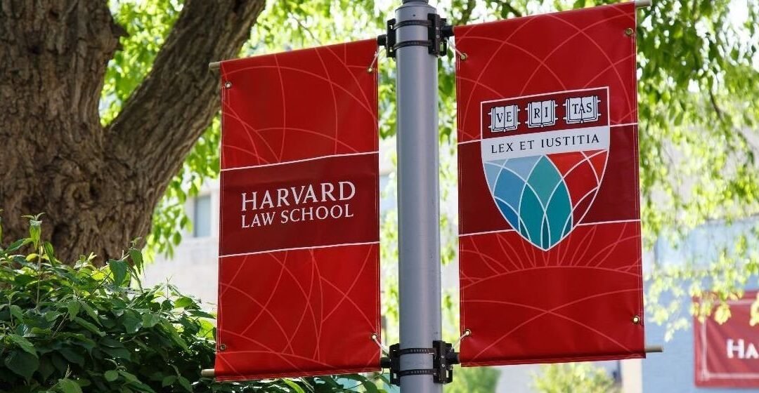 ¿Por qué no se lee a los profesores de Universidad? Sobre las dificultades de la transferencia del conocimiento