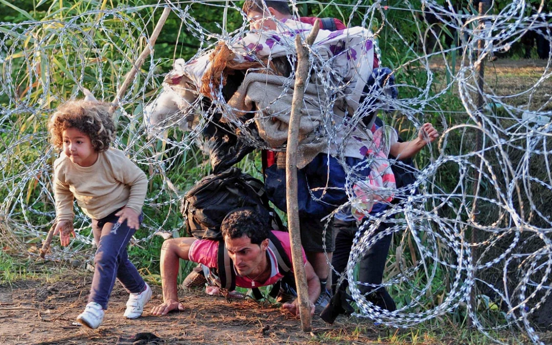 refugiados sirios
