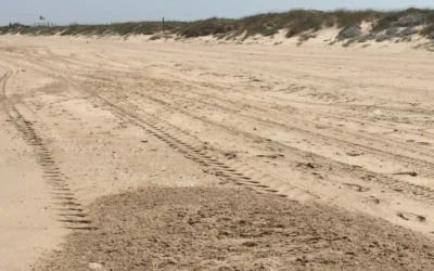 La reforma de la Ley de Costas parcialmente inconstitucional