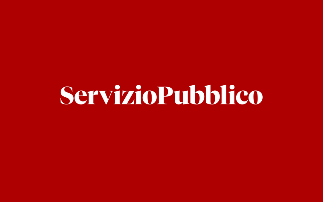 Constitucion y servicio publico