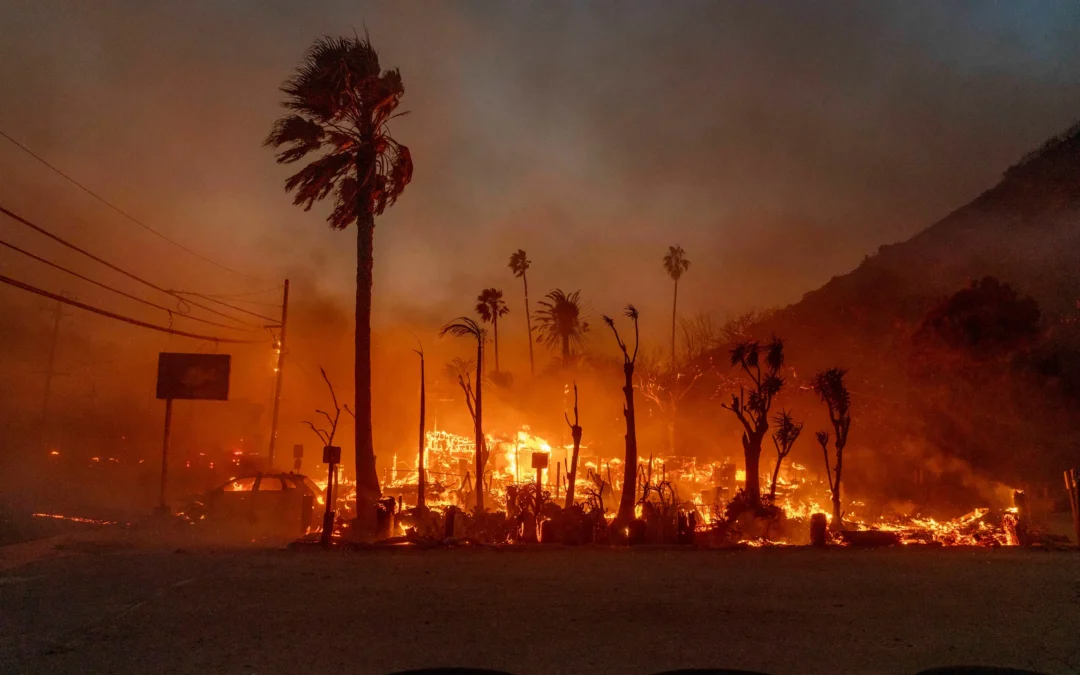 contratos de emergencia